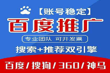 SEM竞价实战：成功案例解析